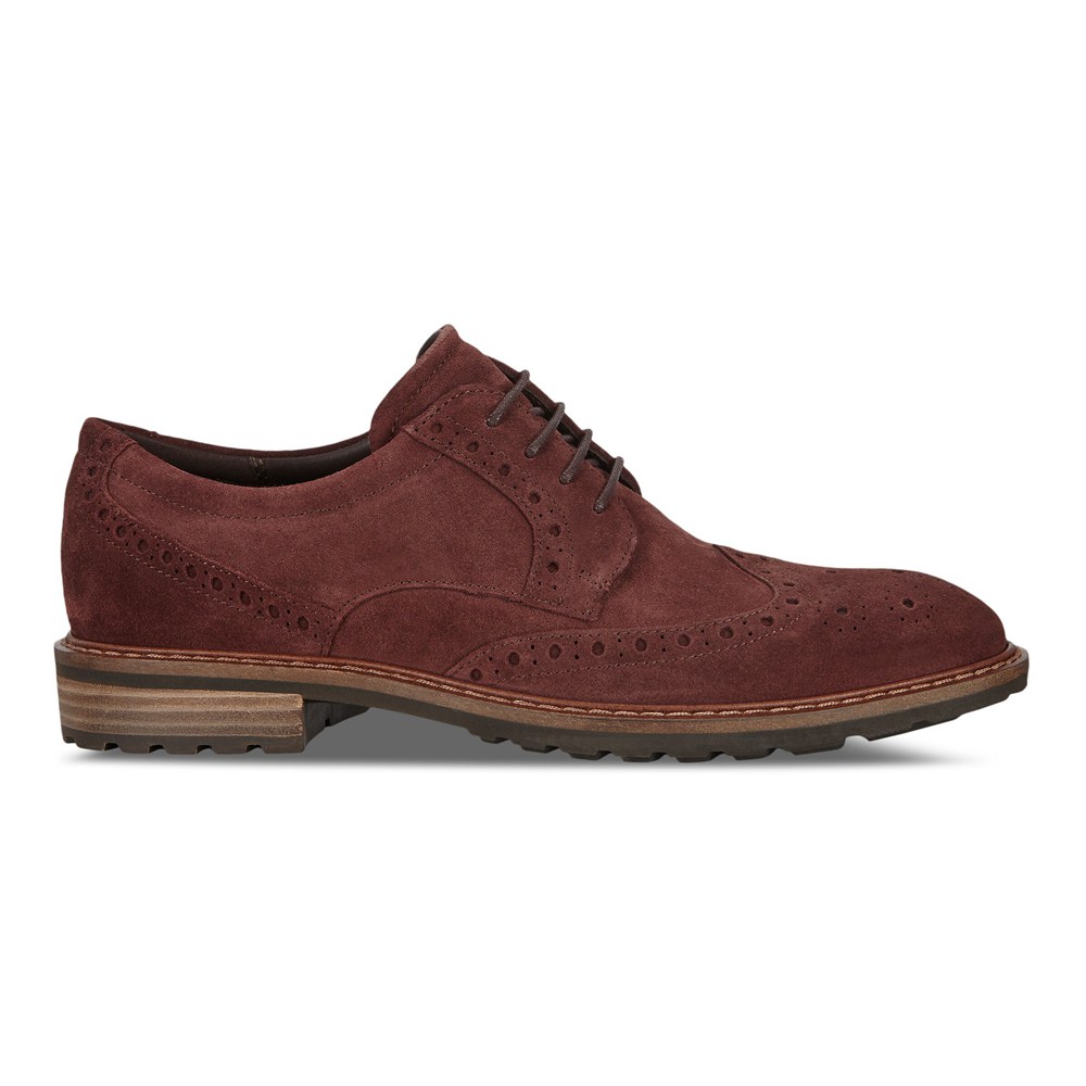 Zapatos De Vestir Hombre - ECCO Vitrus I Wing Tip Tie - Marrom - ONG130729